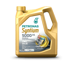 70660_PETRONAS SYNTIUM 5000 XS 5W-30 SN_6X4L